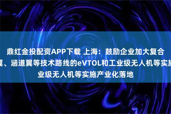鼎红金投配资APP下载 上海：鼓励企业加大复合翼、倾转旋翼、涵道翼等技术路线的eVTOL和工业级无人机等实施产业化落地